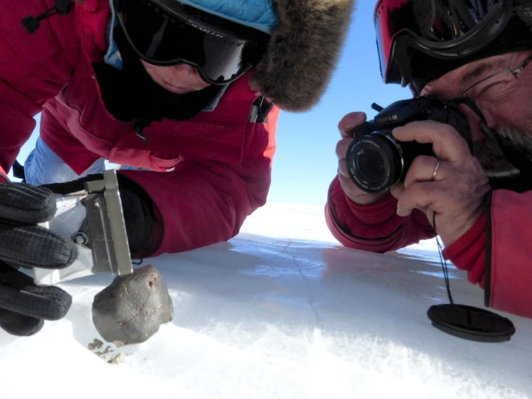 people in antarctica sifting through a field ofrocks