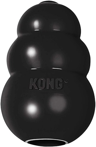 Kong Extreme Toy