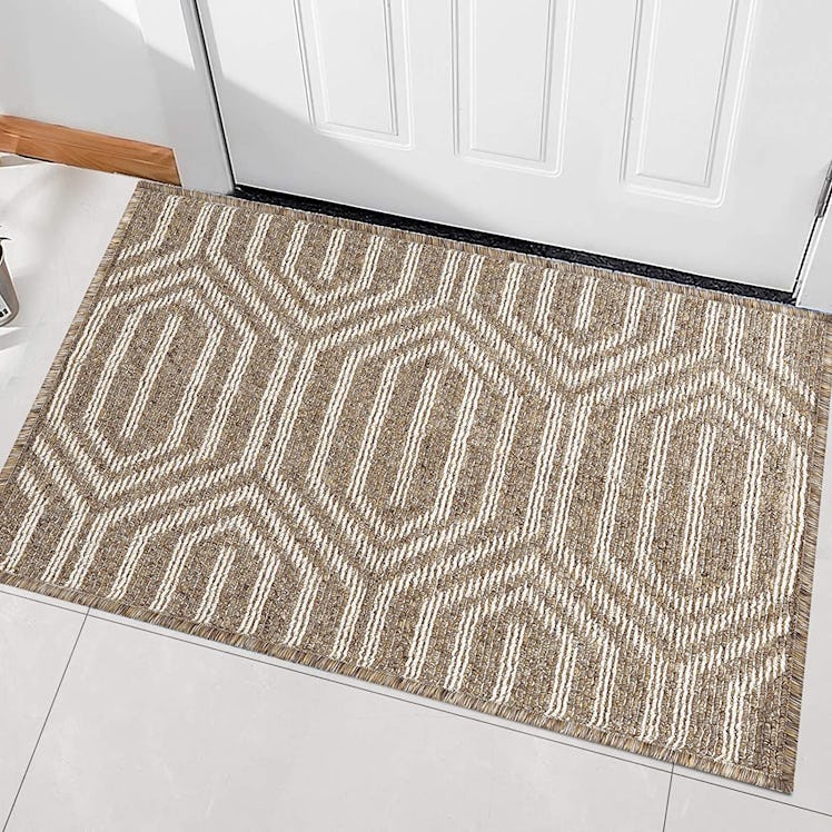 hicorfe Absorbent Indoor Doormat