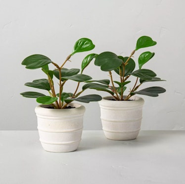 Faux Mini Hoya Heart Potted Plant