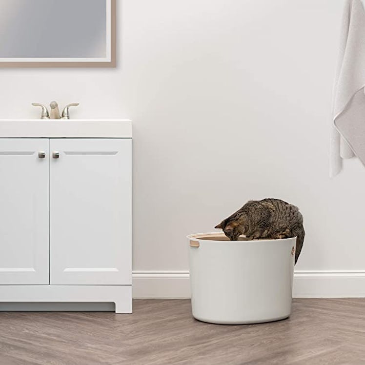 IRIS Top Entry Cat Litter Box with Cat Litter Scoop