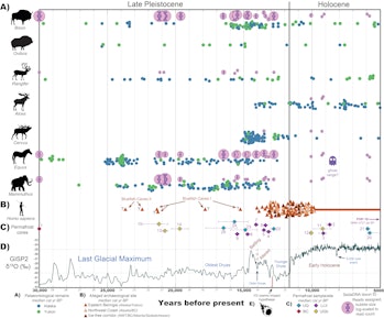 chart showing the survival of various prehistoric creatures