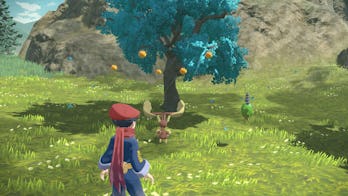Harvesting resources in Pokémon Legends: Arceus
