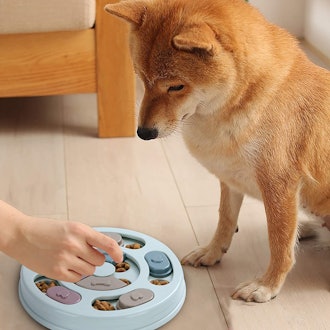 DR CATCH Dogs Food Puzzle Feeder Toy
