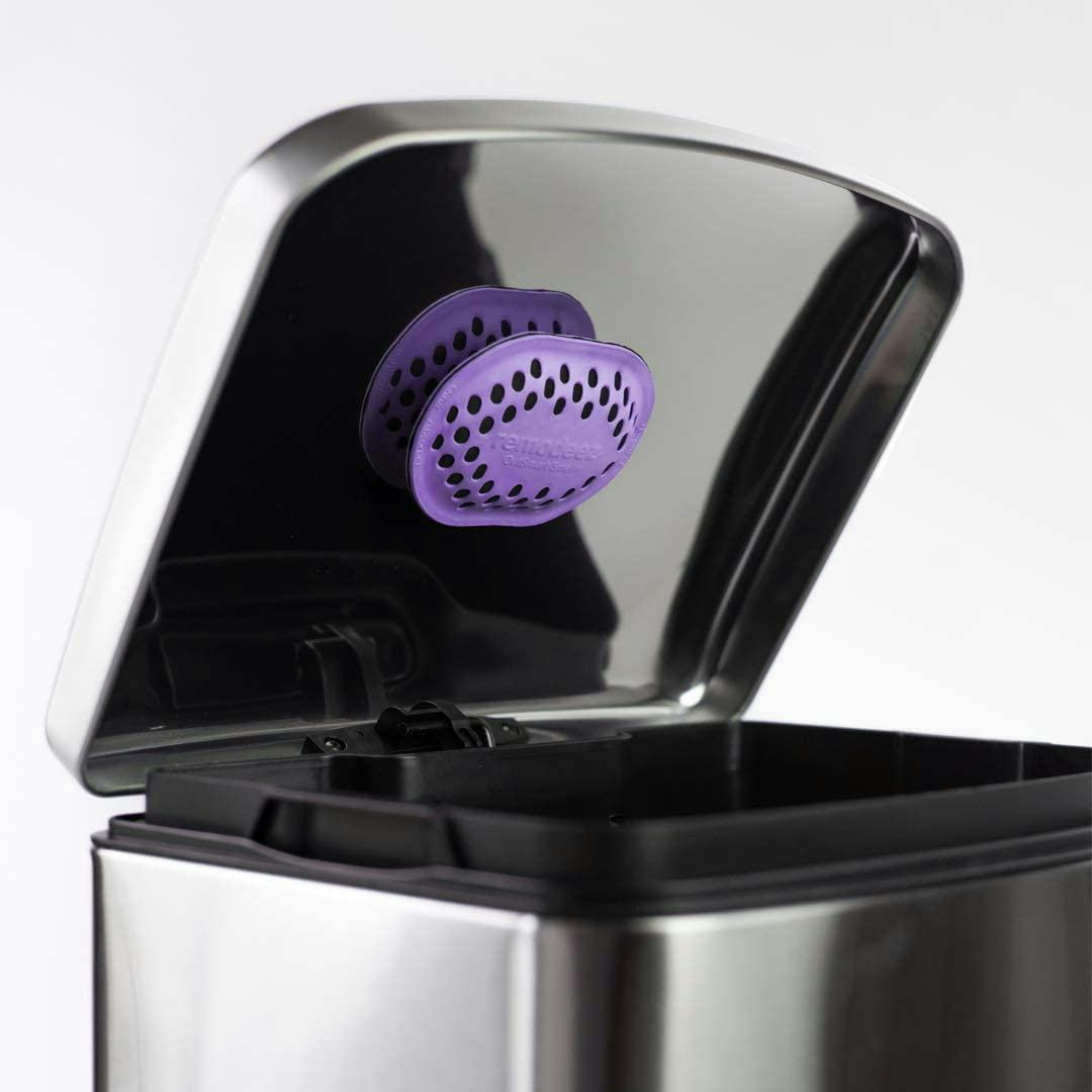 Remodeez Trash Can Deodorizer