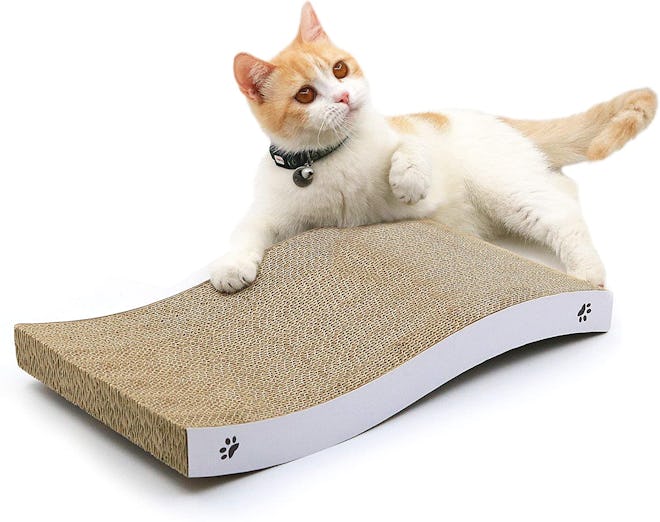 Coching Cat Scratcher