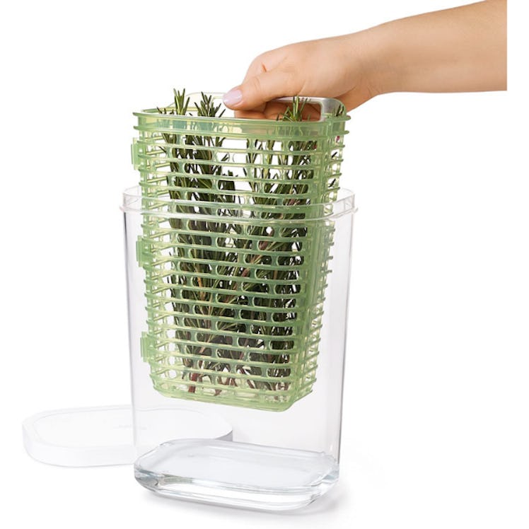 OXO Good Grips GreenSaver Herb Keeper