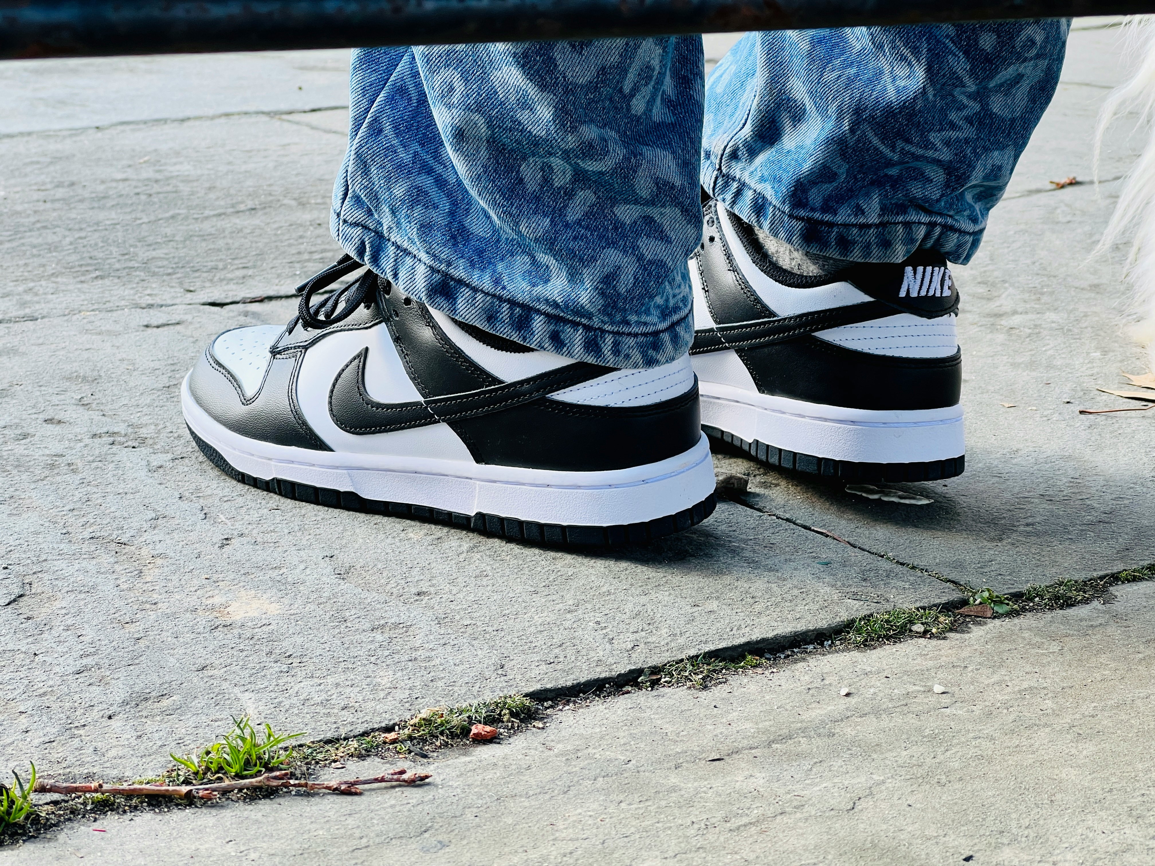 panda dunk low on feet