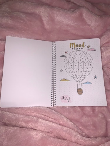 This 2022 bullet journal can be found on Etsy with a daily mood tracker. 