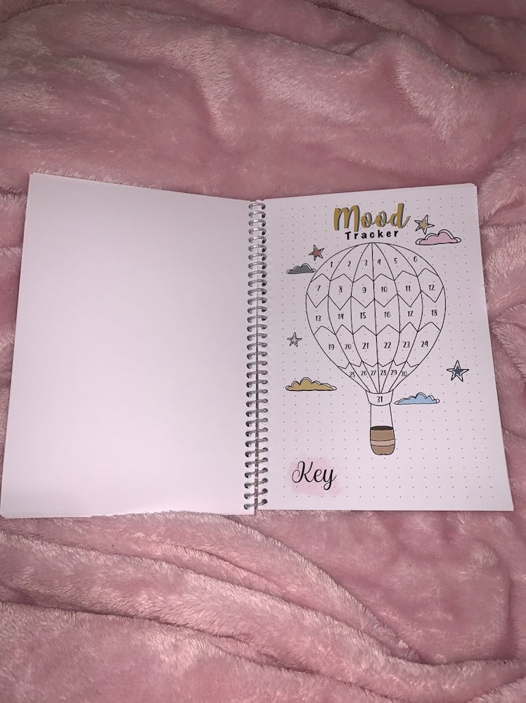 This 2022 bullet journal can be found on Etsy with a daily mood tracker. 
