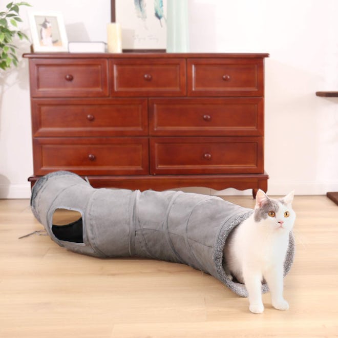Best Hiding Cat Toy For Older Cats
