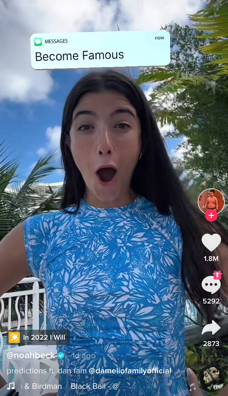 Charli D'Amelio uses the "In 2022 I Will" filter on TikTok to see what will happen in 2022. 