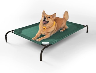 Coolaroo Cooling Elevated Pet Bed