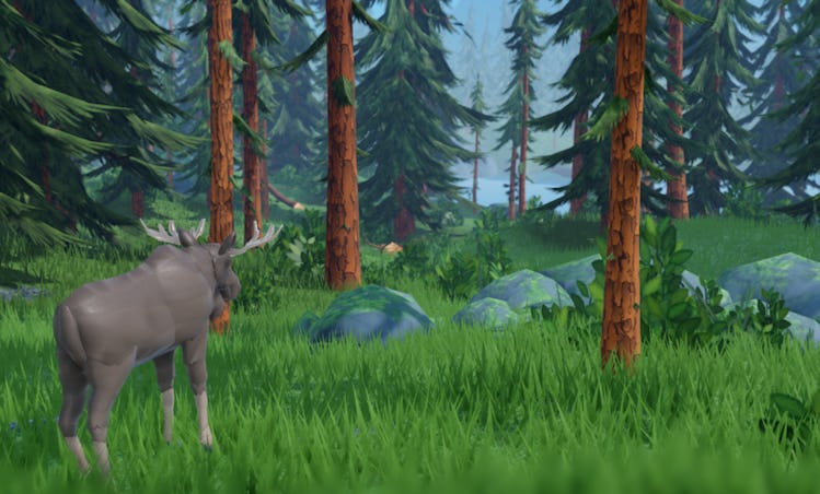 A virtual forest with pine trees, rocks and a moose.