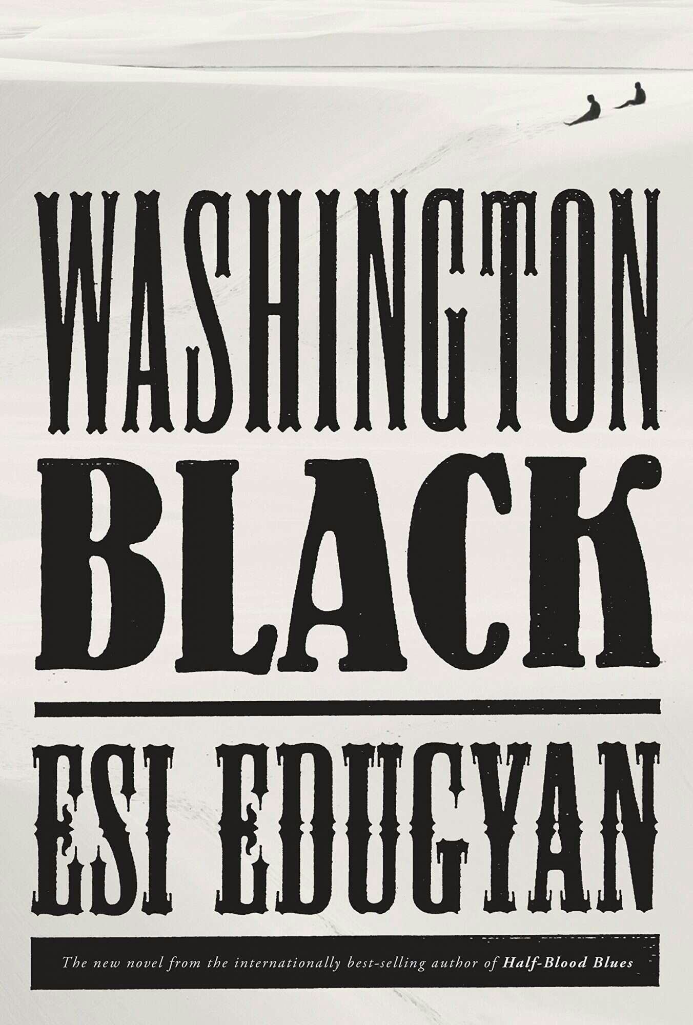 &lsquo;Washington Black&rsquo; by Esi Edugyan