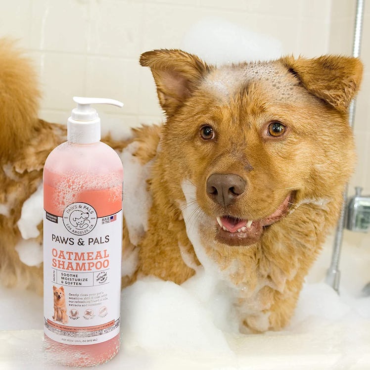 Paws & Pals Oatmeal Dog Shampoo