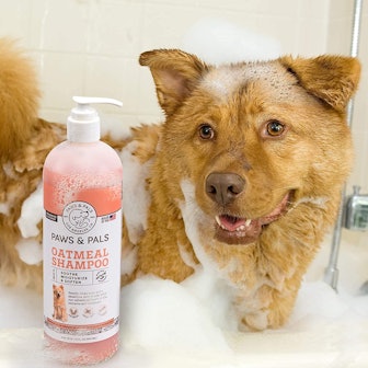 Paws & Pals Oatmeal Dog Shampoo