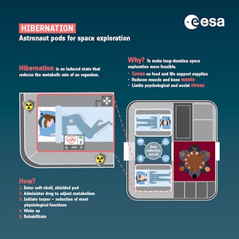 The European Space Agency released an infographic explaining how hibernation could work.