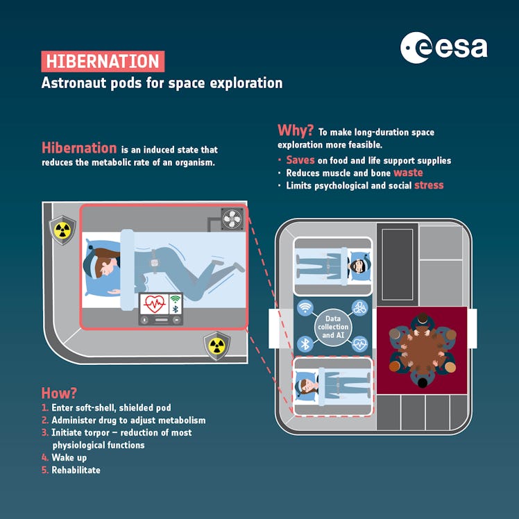 The European Space Agency released an infographic explaining how hibernation could work.