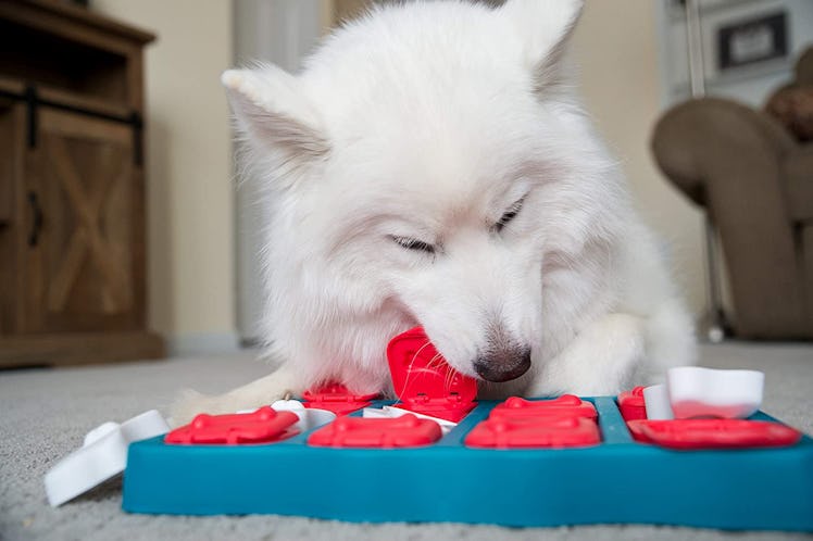 Outward Hound Dog Treat Puzzle