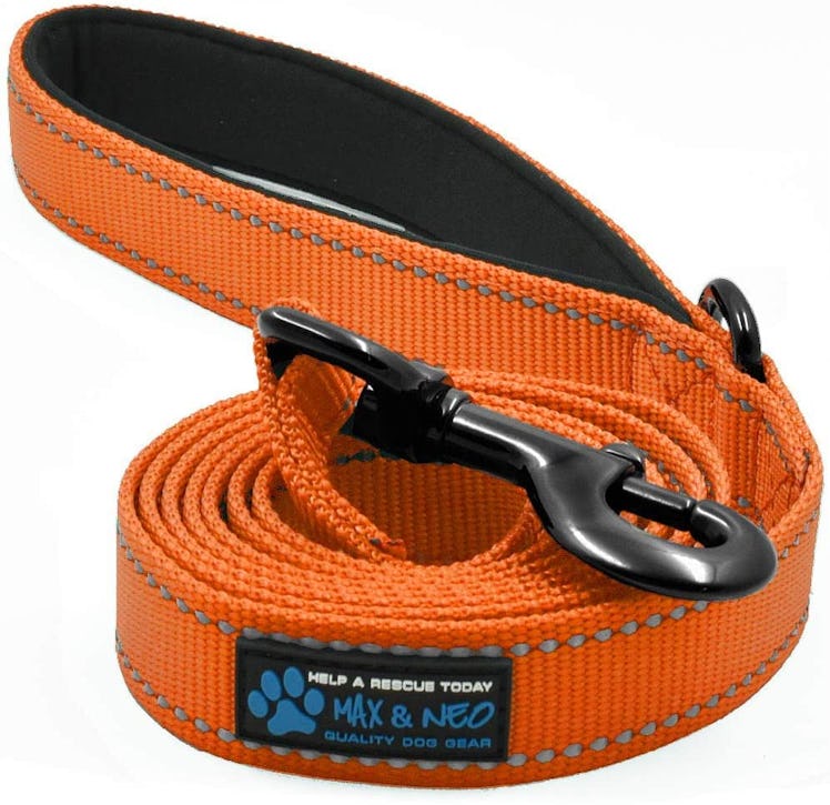 Max and Neo Reflective Nylon Dog Leash