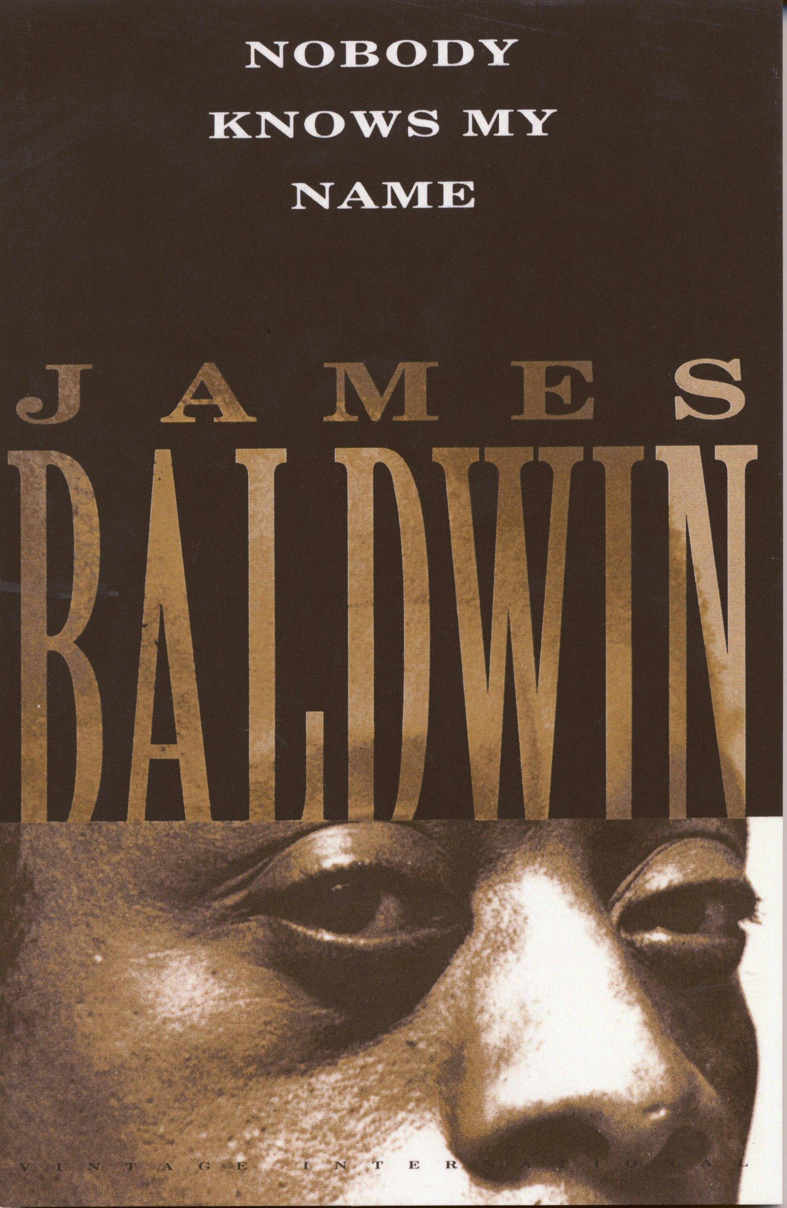 &lsquo;Nobody Knows My Name&rsquo; by James Baldwin