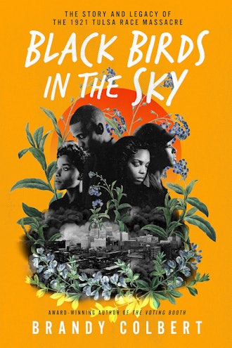 'Black Birds in the Sky' by Brandy Colbert