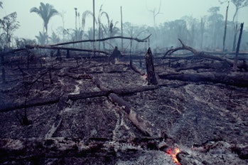 Deforestation in Brazilian rainforest