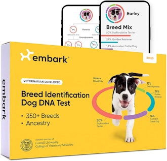 Embark | Dog DNA Test | Breed Identification Kit