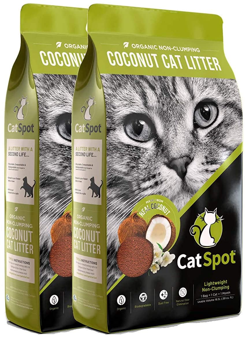 The 3 Best Hypoallergenic Cat Litters