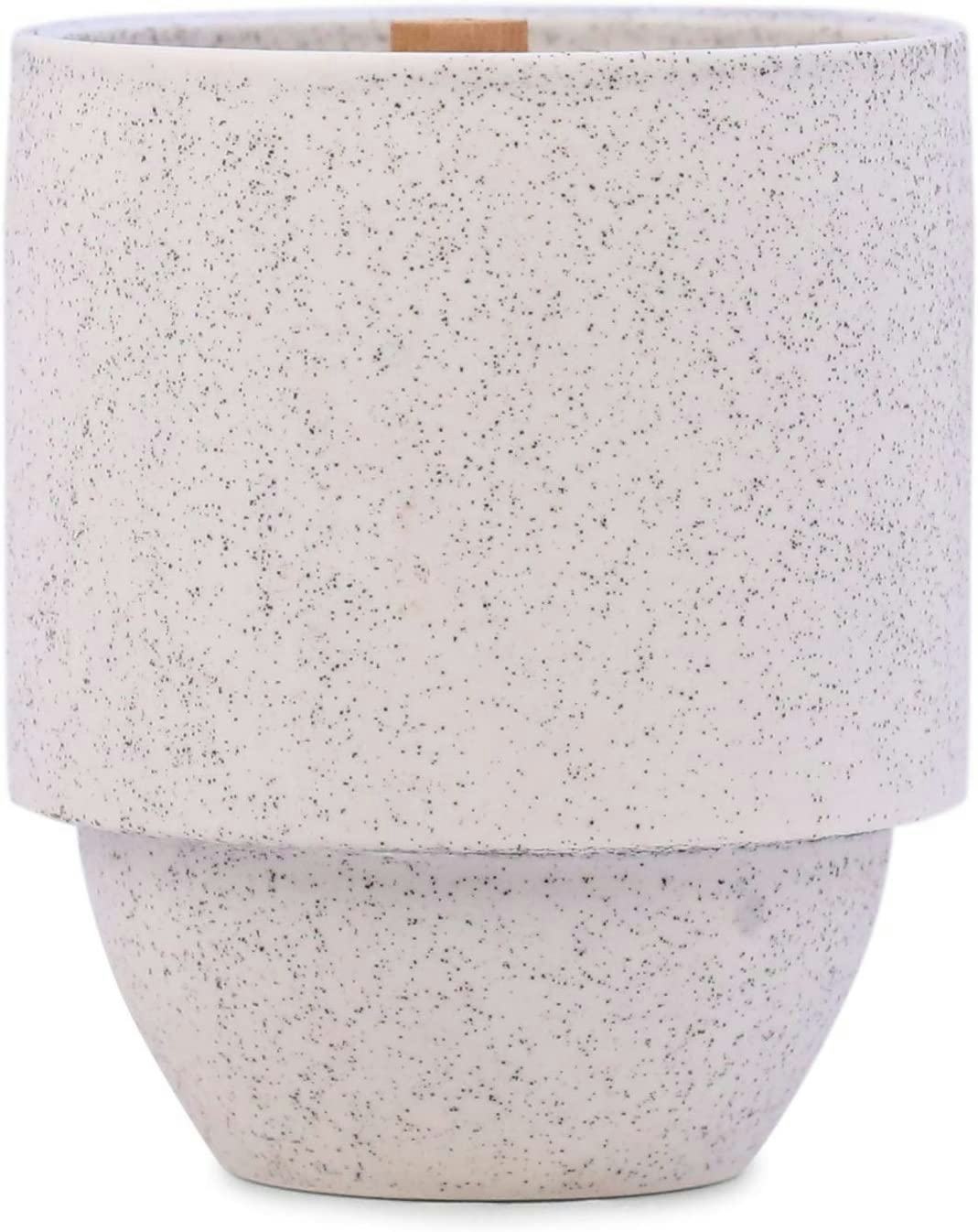 Paddywax Candles Glacier White Pine And Hemlock Candle, 11 Oz.