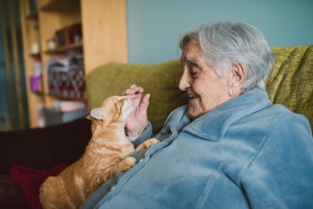 Laiminga vyresnio amžiaus moteris, žaidžianti su katinu