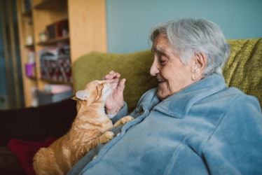 Happy senior woman playing with a cat