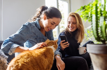 Woman petting cat while friend photographs