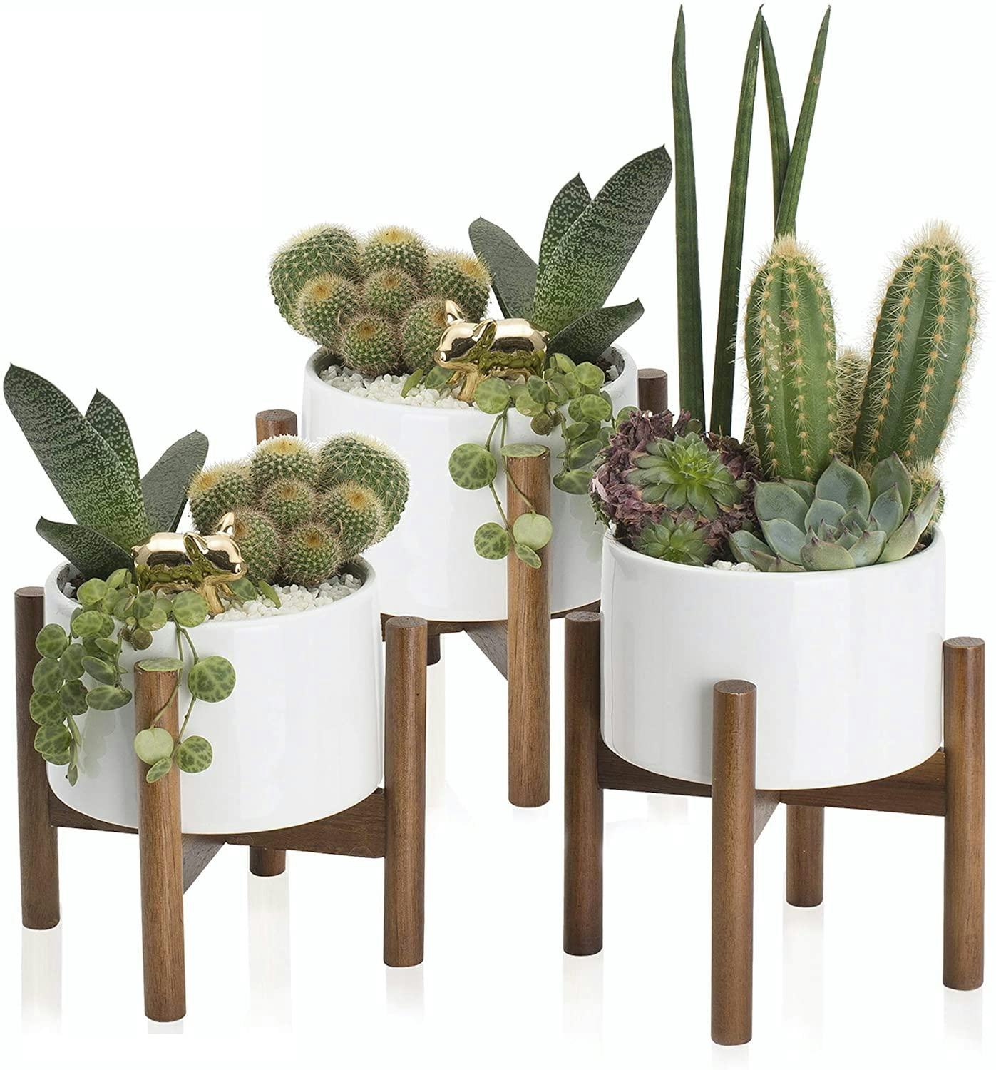 kimisty Ceramic Succulent Planters (3-Pack)