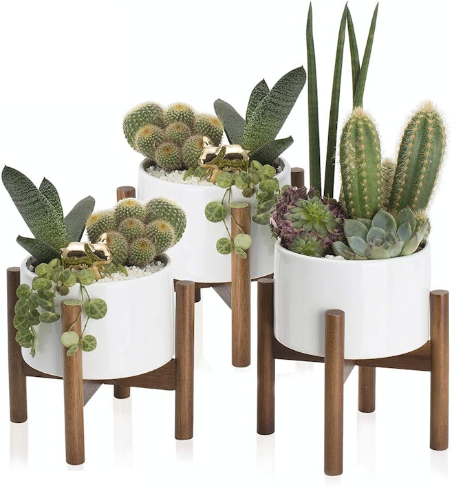 kimisty Ceramic Succulent Planters (3-Pack)