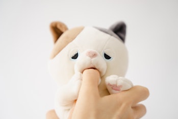 A calico cat plushie is pictured nibbling on a person's finger