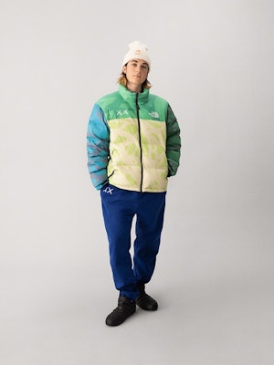 Kaws The North Face Collection