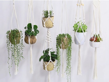 This plant hanger is perfect for cottagecore wall decor.