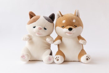 Plush calico and plush Shiba Inu are pictured against a white background