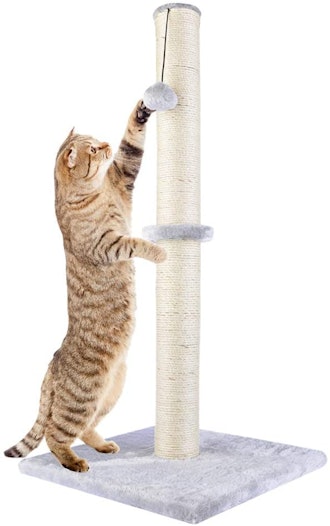 This is the best cat scratching post to prevent them from scratching your couch.