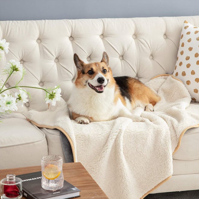 Bedsure Waterproof Dog Blanket