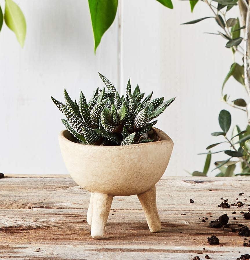Creative Co-Op Matte Terra-Cotta Planter