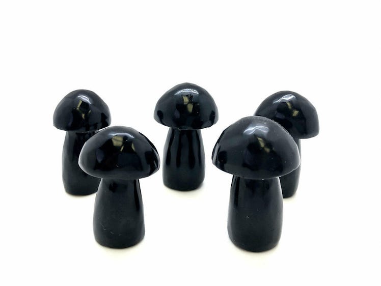 These dark cottagecore mushrooms are great for home decor.