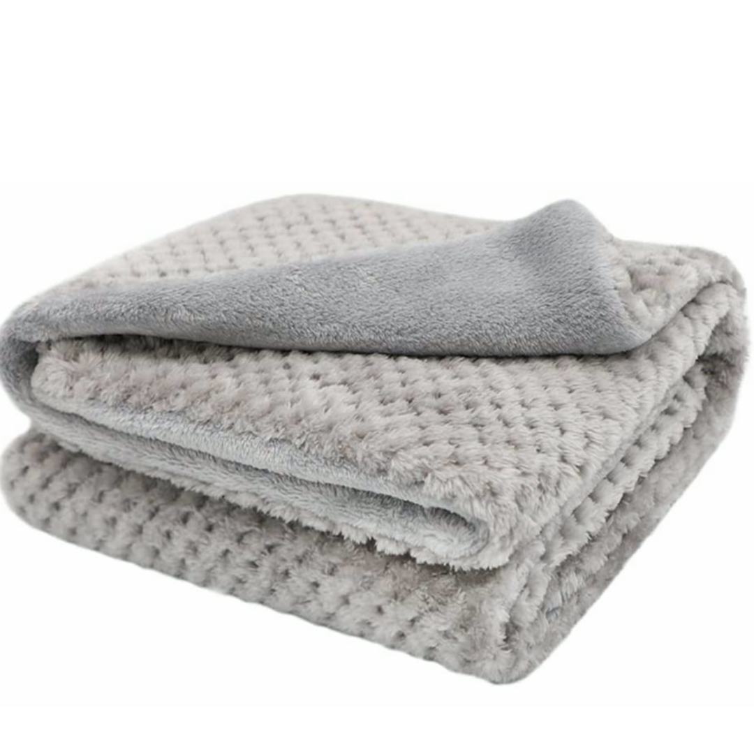 The 5 Best ChewProof Dog Blankets