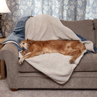 Furhaven Pet Products ThermaNAPDog Blanket