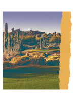The TPC Scottsdale course in the Sonoran desert, a great place for a friend vacation