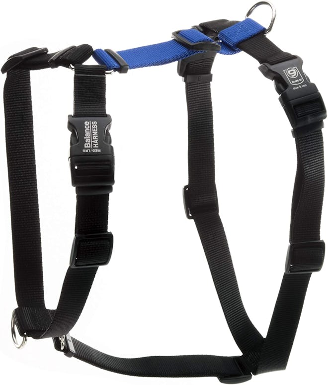 Blue-9 Buckle-Neck Balance Harness