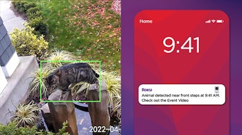 Roku smart home camera and app integration