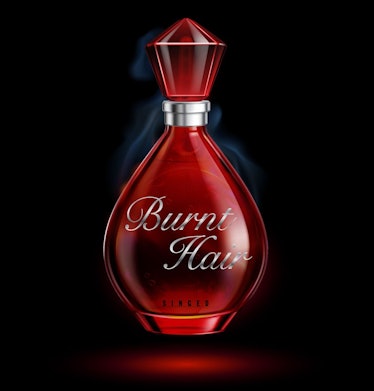 Elon Musk's Burnt Hair perfume smells like "repugnant desire"